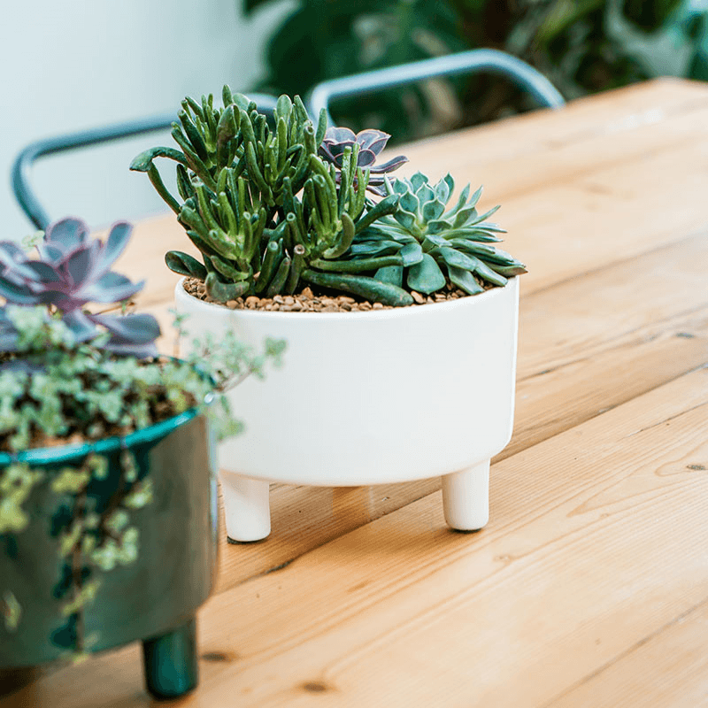 Pisa Bowl planter, H14 x W19 x D19cm, White