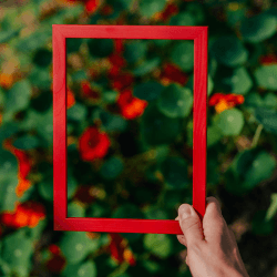 Image showing the Marco Frame, A3, Venetian Red product.