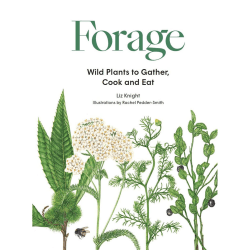 Image showing the Forage: Wild Plants to Gather and Eat Liz Knight product.