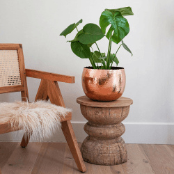 Image showing the Hammered Bowl planter, H21 x W30 x D30cm, Copper product.
