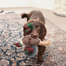Image showing the 'Pheasant' Rope Dog Toy product.