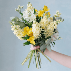 Image showing the A Year of Seasonal Blooms product.