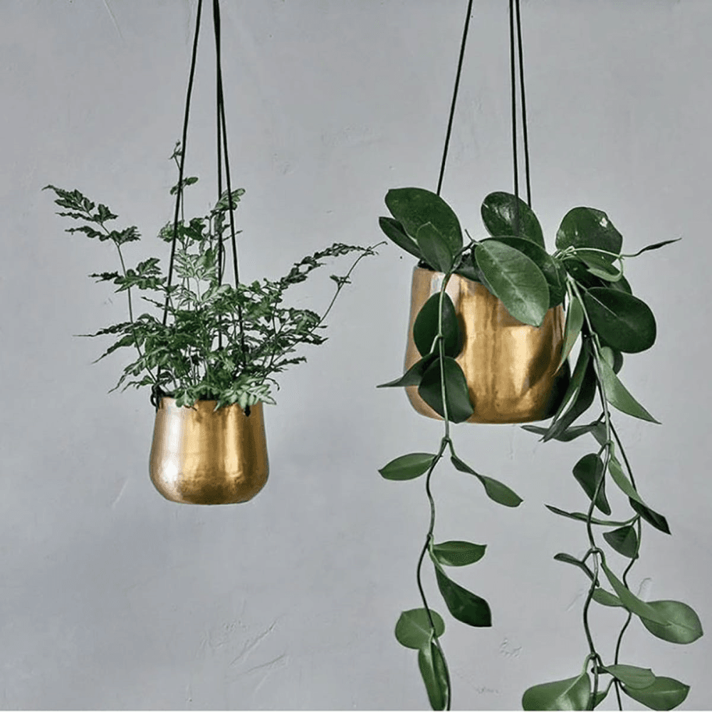 Atsu Brass Hanging Planter Small, Brass