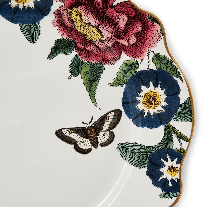 Creatures of Curiosity Set of 4 Plates, D27cm, Multi