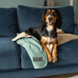 Image showing the Snuggle Pet Blanket, 110 x 72.5cm, Sage Green product.