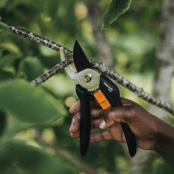Image showing the Solid Bypass Pruner P121, Black/Orange/Silver product.