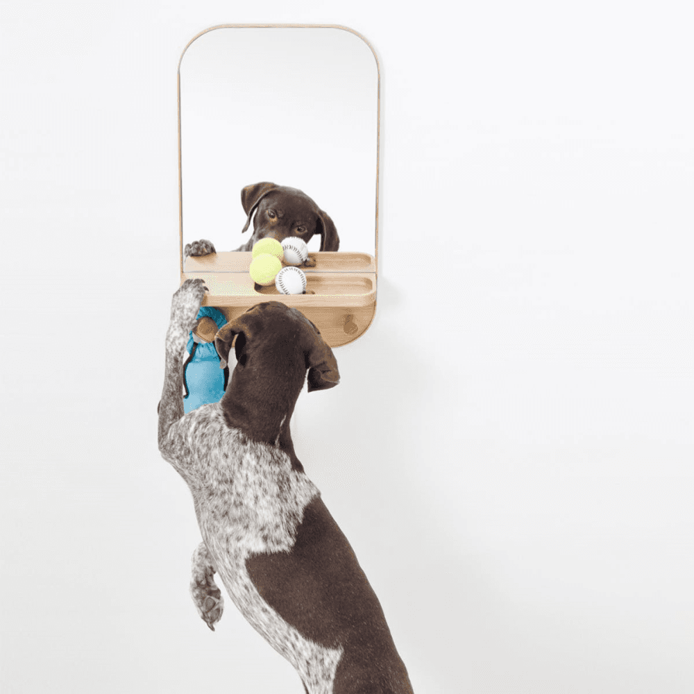 Silent Butler Storage mirror, H73.5 x W41 x D13.5cm, Oak/Mirrored Glass