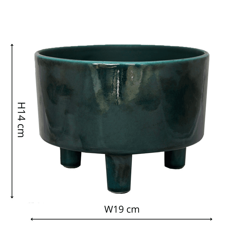 Pisa Bowl planter, H14 x W19 x D19cm, Emerald