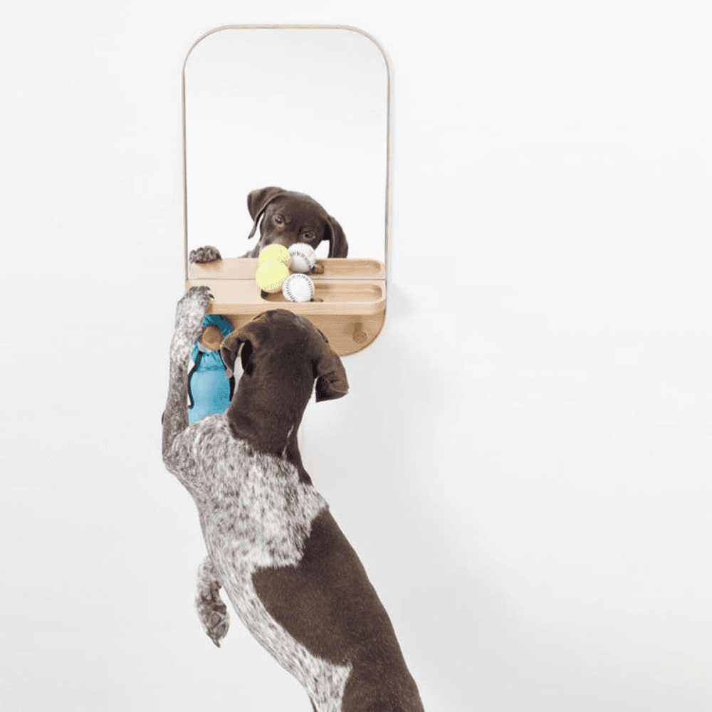 Silent Butler Storage mirror, H73.5 x W41 x D13.5cm, Oak/Mirrored Glass