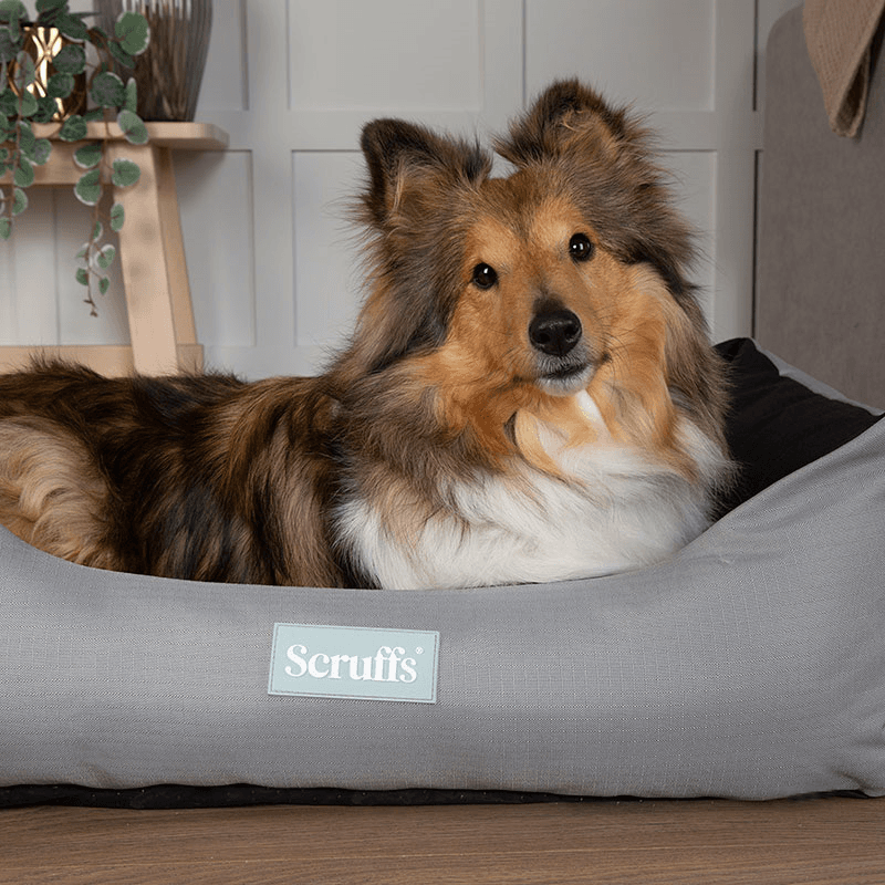 Expedition Dog Bed, 75 x 60cm, Storm Grey