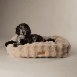 Image showing the Supersoft Alpine Box Bed, 75 x 60cm, Champagne product.