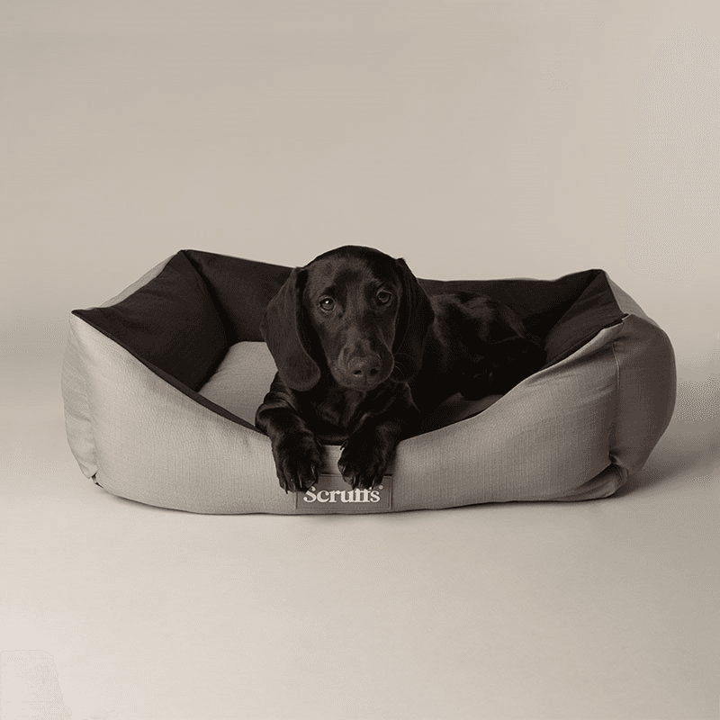 Expedition Dog Bed, 60 x 50cm, Storm Grey
