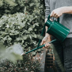 Image showing the The Warley Fall Outdoor Watering Can, 1 Gallon, Green product.