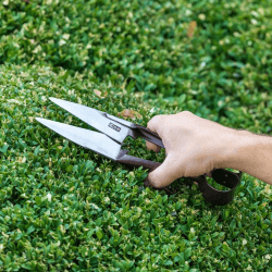 Image showing the National Trust Topiary Sheer, Silver/Carbon Steel product.