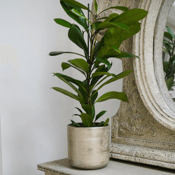 Image showing the Tivoli Planter, D19cm, Gold product.