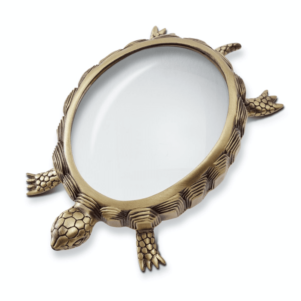 Turtle Magnifying glass, 13 x 8 x 3cm