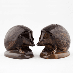 Image showing the Hedgehog Salt & Pepper Shakers, H5.5cm, Brown product.