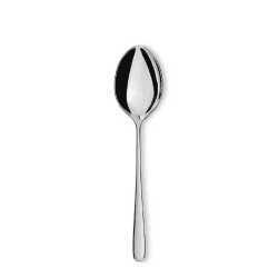 Image showing the Caccia Serving spoon, Stainless Steel product.