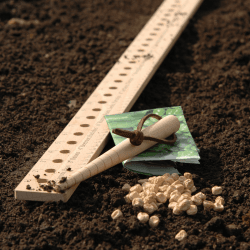 Image showing the Seed & Plant Spacing Ruler, Natural product.