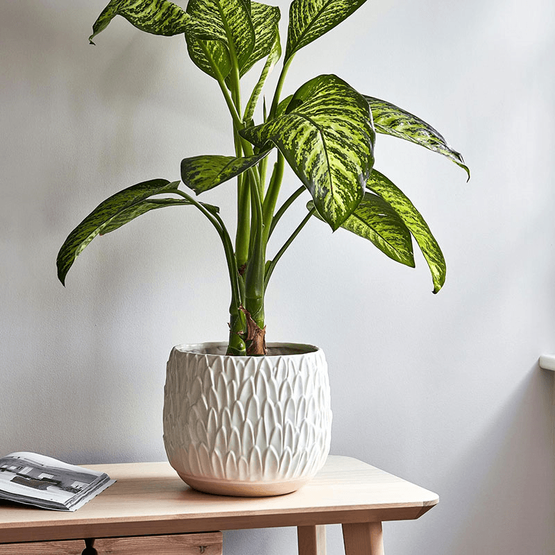 Arles Leaf Embossed Planter, D22cm, White