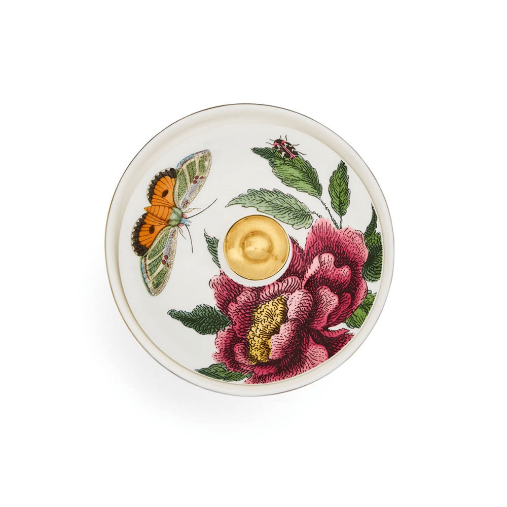 Creatures of Curiosity Covered Sugar Bowl, White