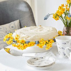 Image showing the Lavendula Set of 4 Plates, D15cm, Multi product.