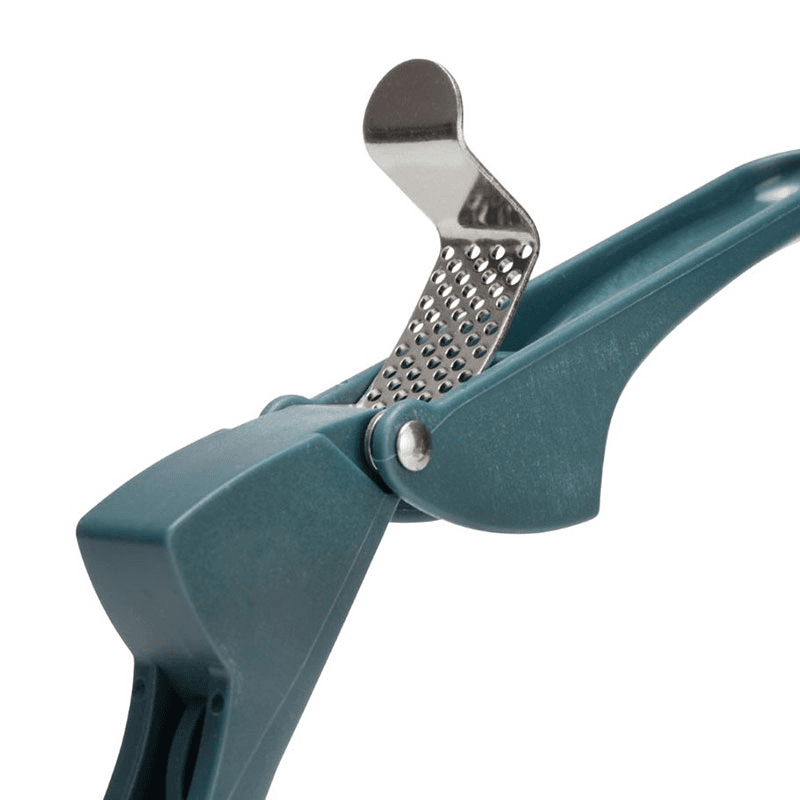 Garlic Press, Blue