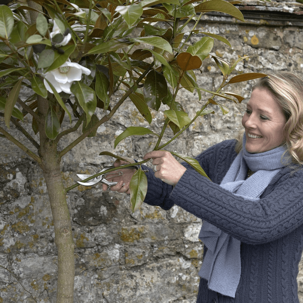 Secateurs, Silver