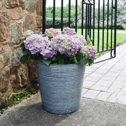 Image showing the Galvanised Ribbed Planter, D37cm, Silver product.