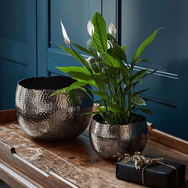 Hammered Bowl planter, H21 x W30 x D30cm, Nickel