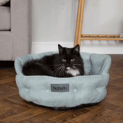 Image showing the Seattle Cat/Dog Bed, 45cm, Topaz Green product.