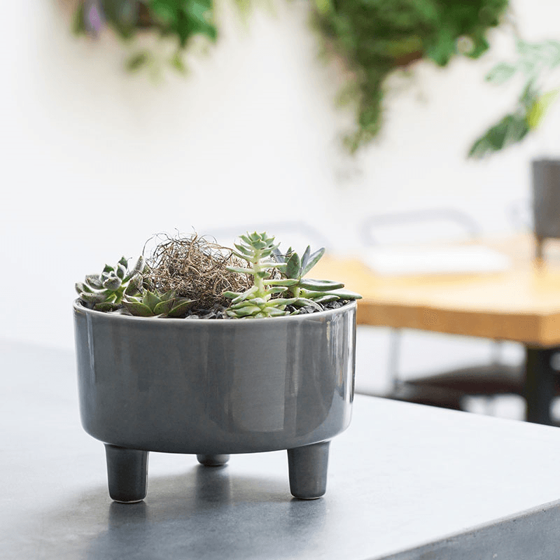 Pisa Bowl, D19cm, Slate