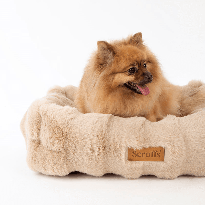 Supersoft Alpine Box Bed, 60 x 50cm, Champagne