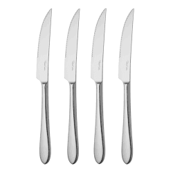 Image showing the Norton Bright Set of 4 steak knives, Stainless Steel product.