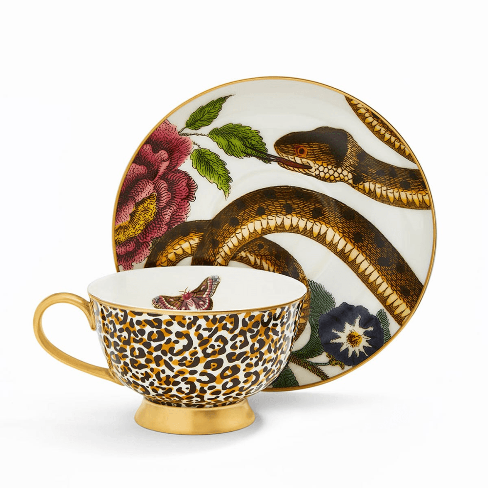 Creatures of Curiosity Tea Cup & Saucer Coupe, White