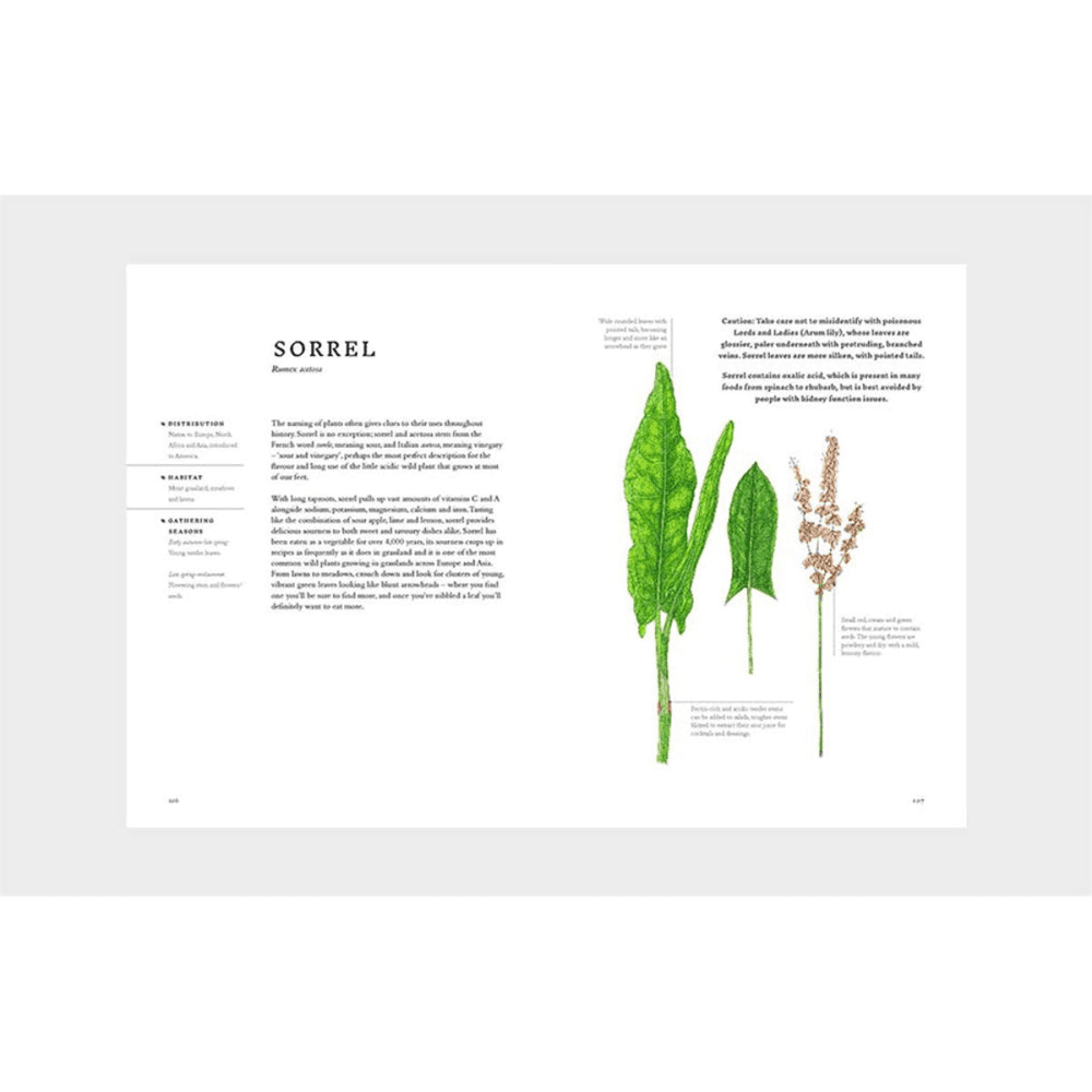 Forage: Wild Plants to Gather and Eat Liz Knight