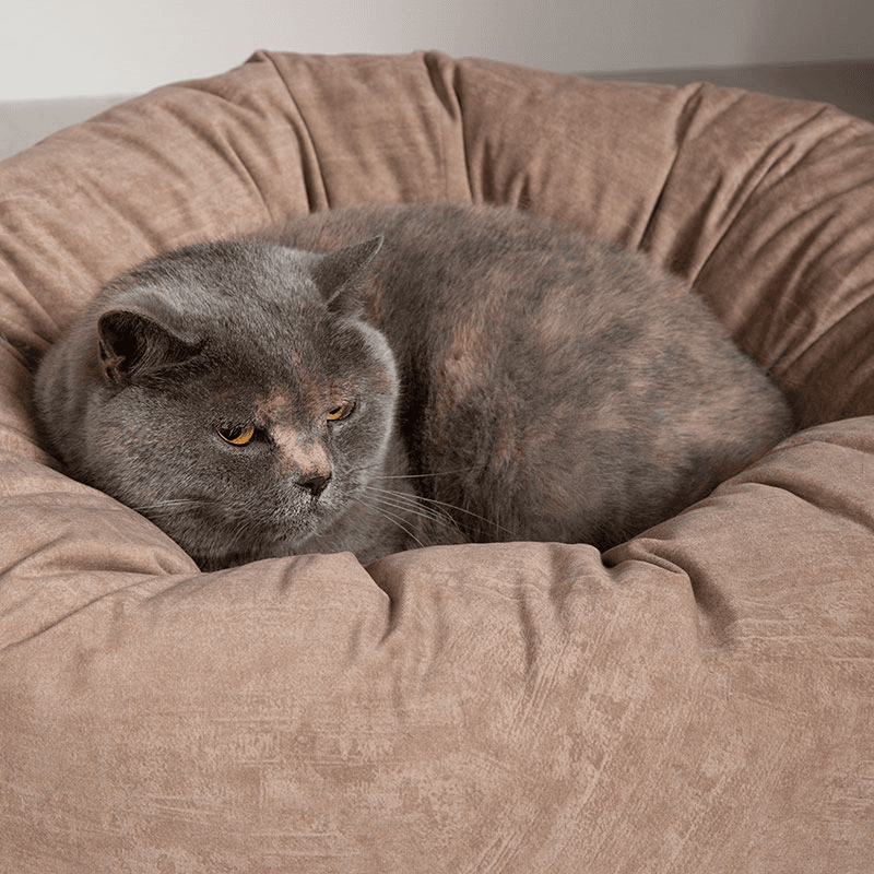 Oslo Ring Bed, 55cm, Desert Sand