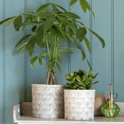 Image showing the Venetian Glazed Plant Pot, Large, Grey product.
