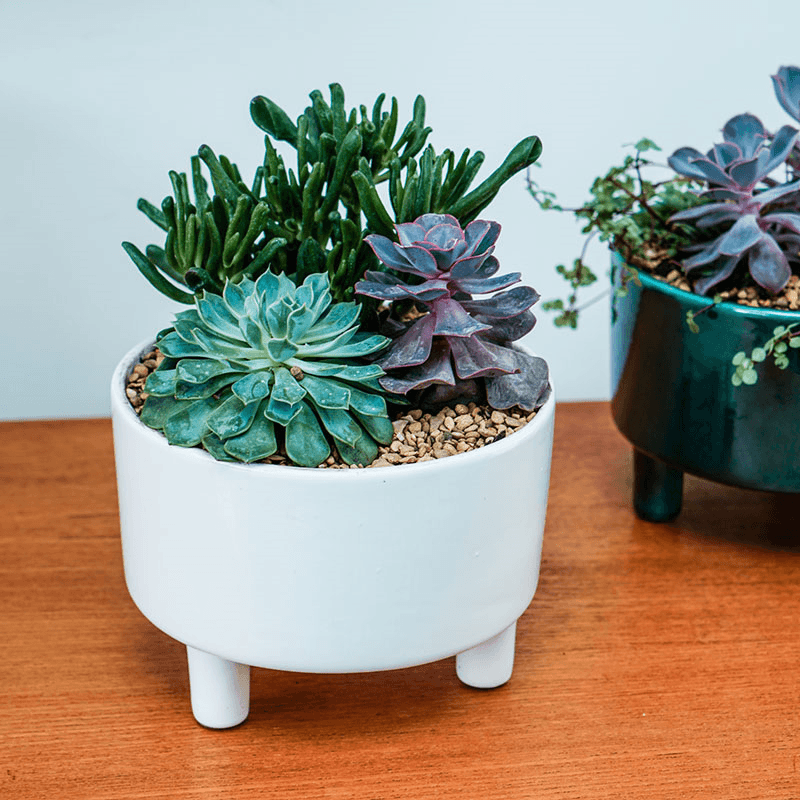 Pisa Bowl planter, H14 x W19 x D19cm, White