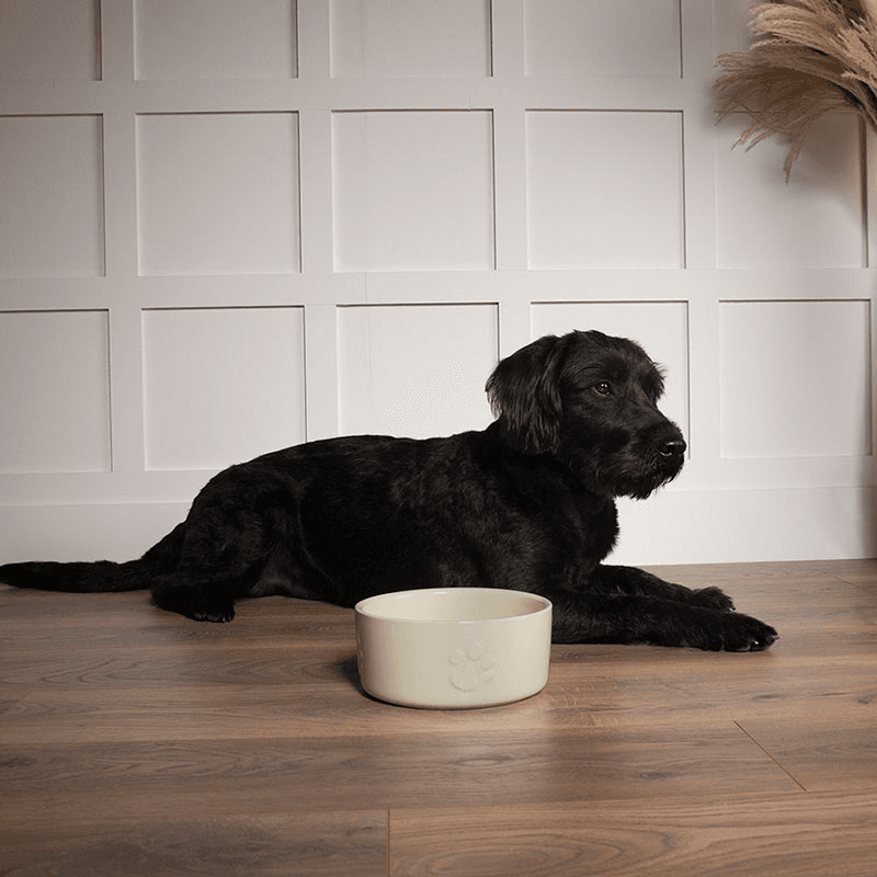 Icon Dog Bowl, D25cm, Cream