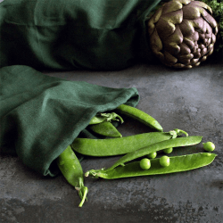 Image showing the Medium food bag, 30 x 24cm, Dark Green product.
